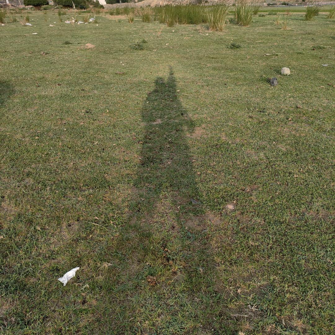 米朵