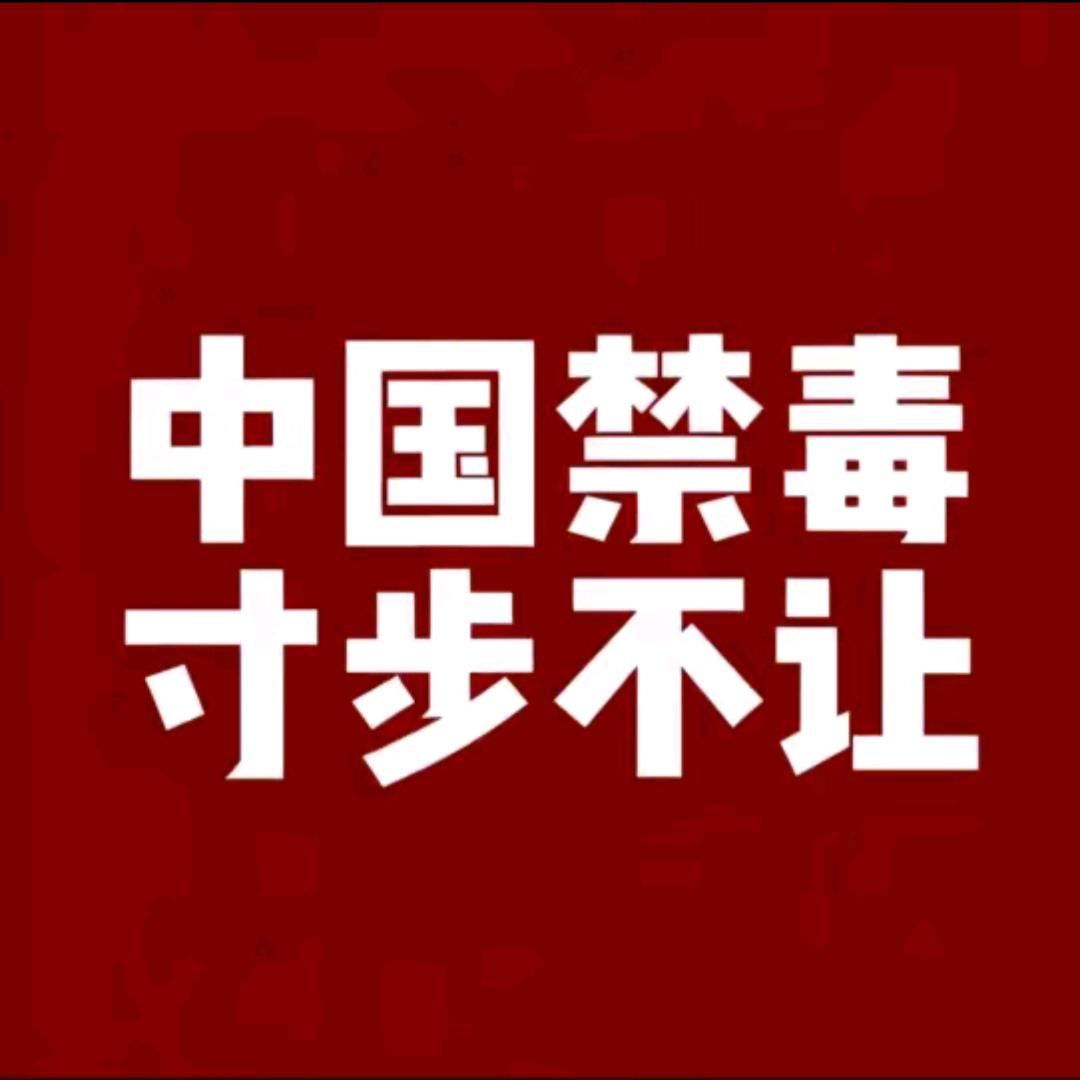 熬夜追书