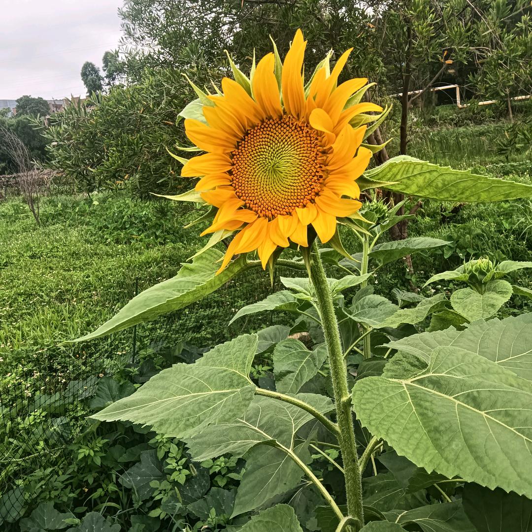 怒刷存在感！(ง •̀_•́)ง