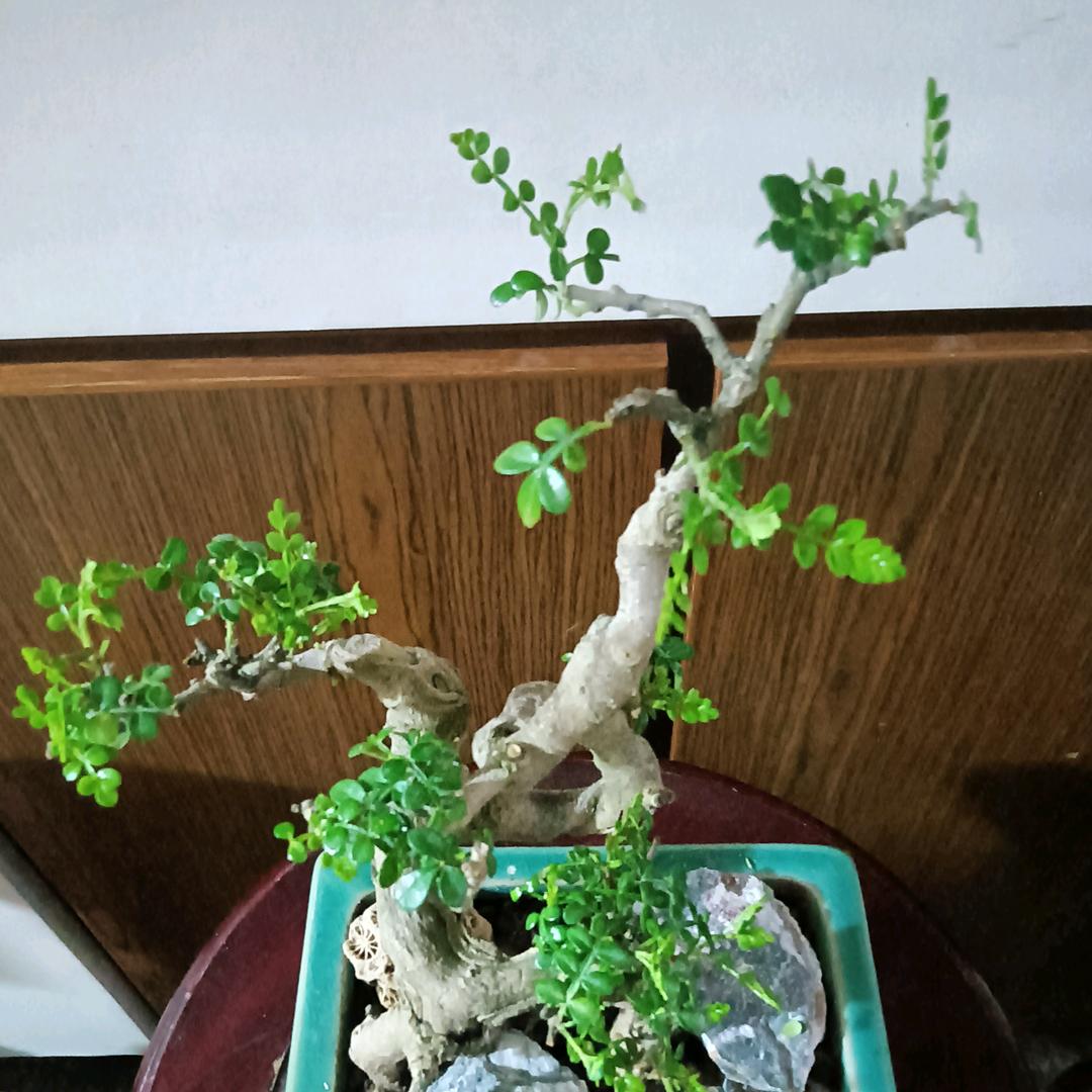 玉姐-晚上9:18分直播