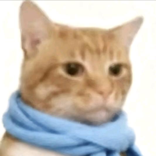 哦哦哦哦哦哦哦哦哦哦哦哦