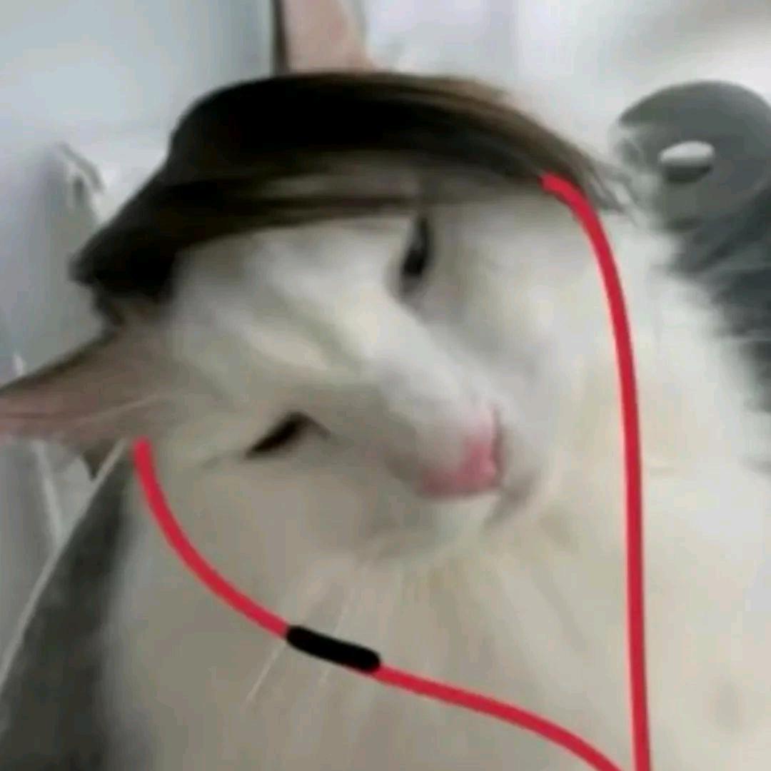 嗯，橘子