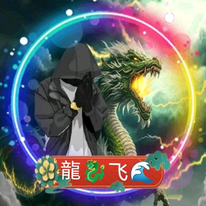 龙🐲飛