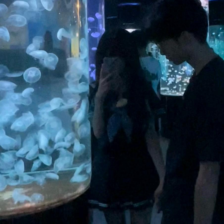 硫酸根（恩师阿龙）