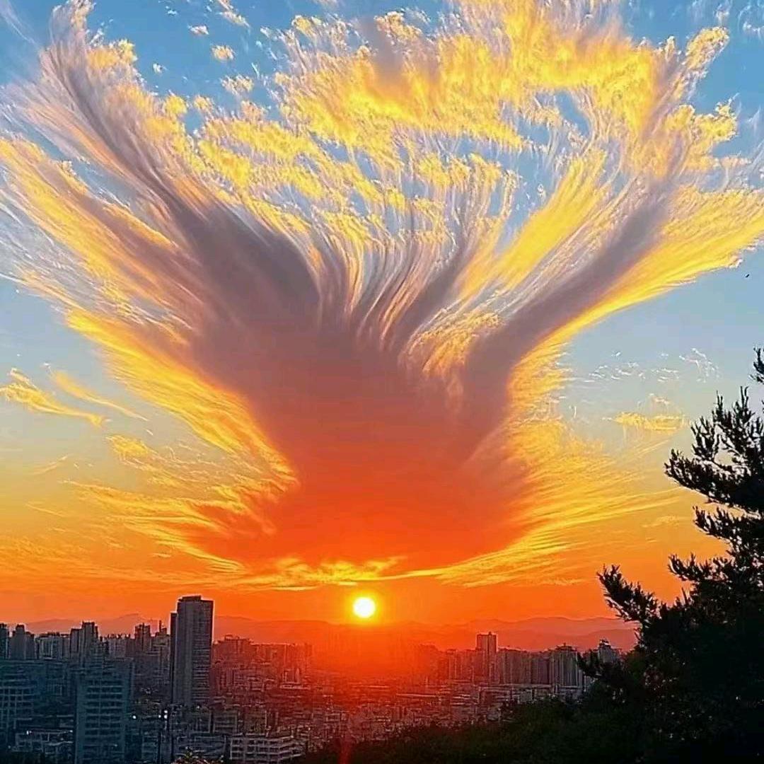 我爱我家