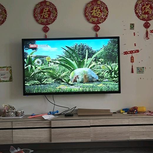 何处何从