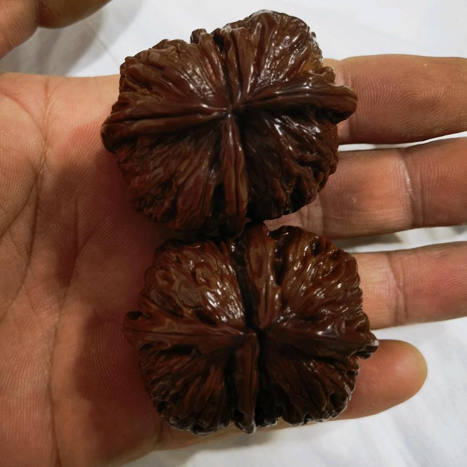 最熟悉的陌生人