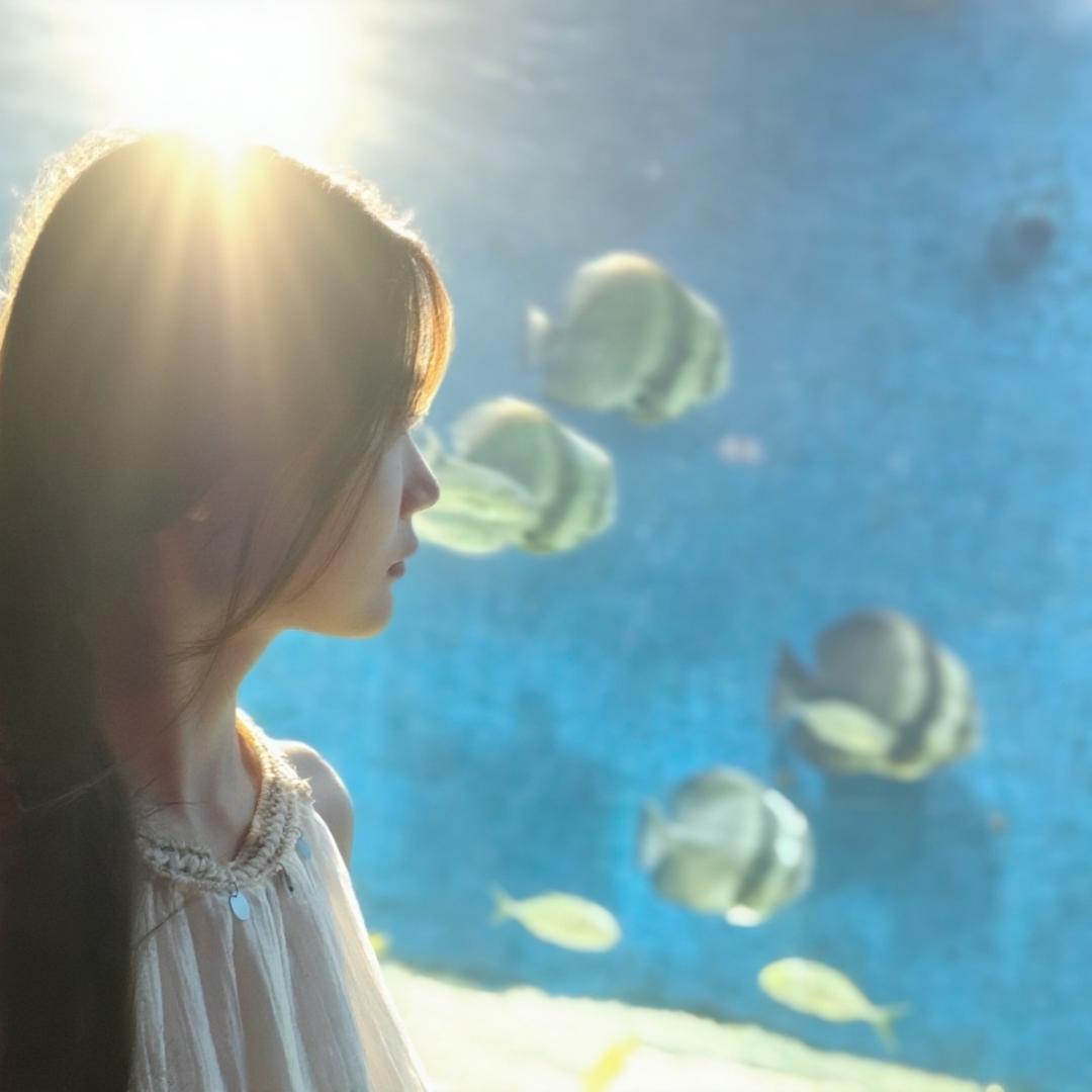 粥粥芒