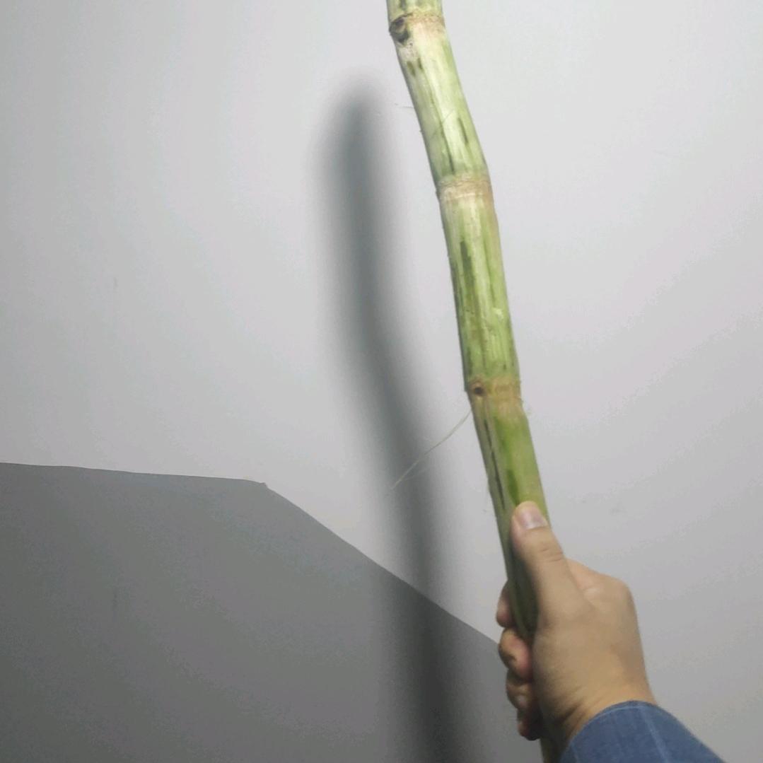 十里坡剑神