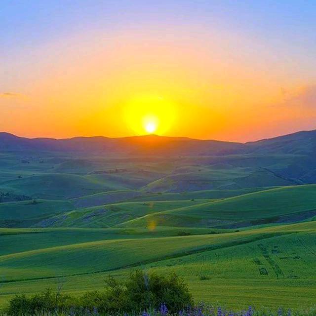 《河南 🇨🇳一哥》