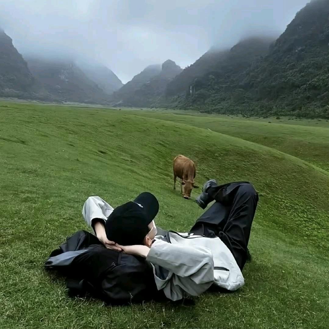 刘夏