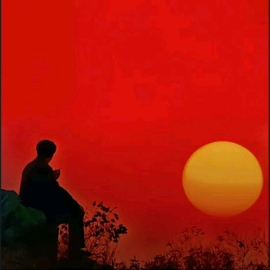 天天向上，
