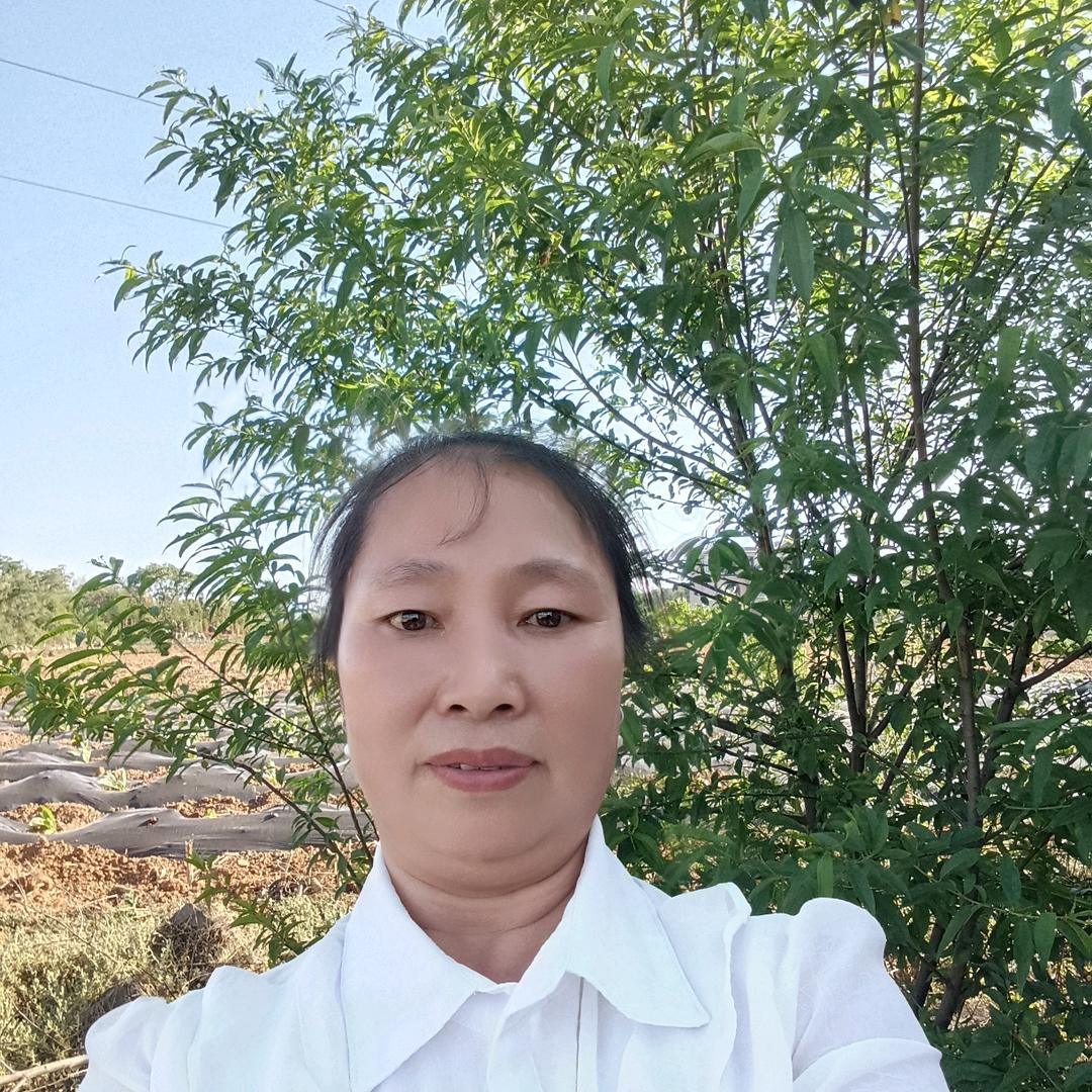 杨妹