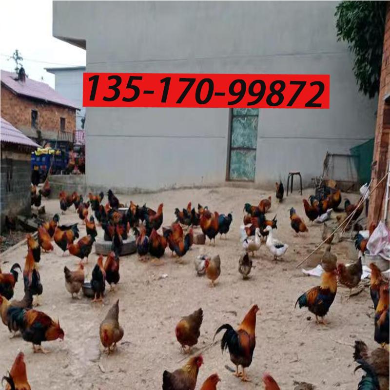 小市民，大智慧