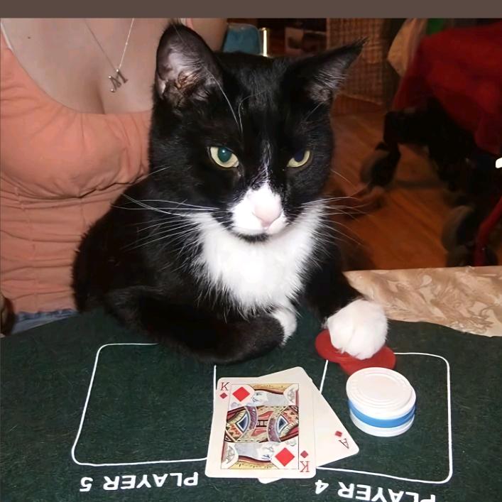 神戳戳的王小明