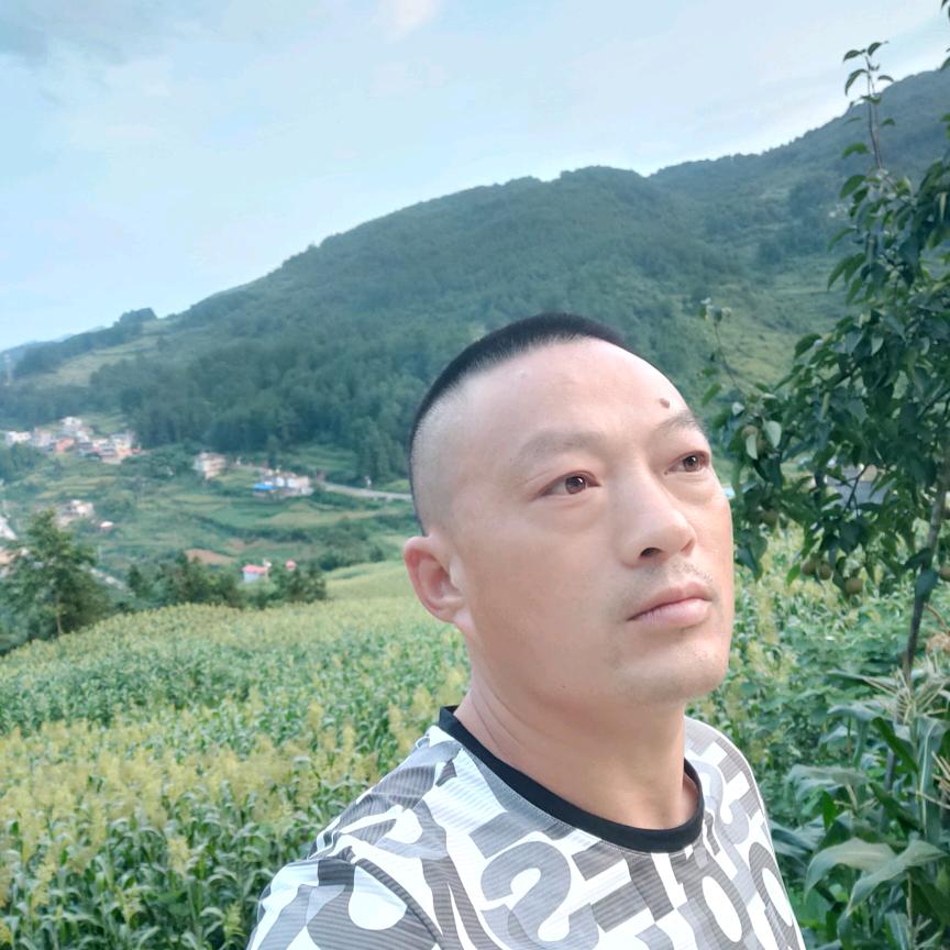我的梦