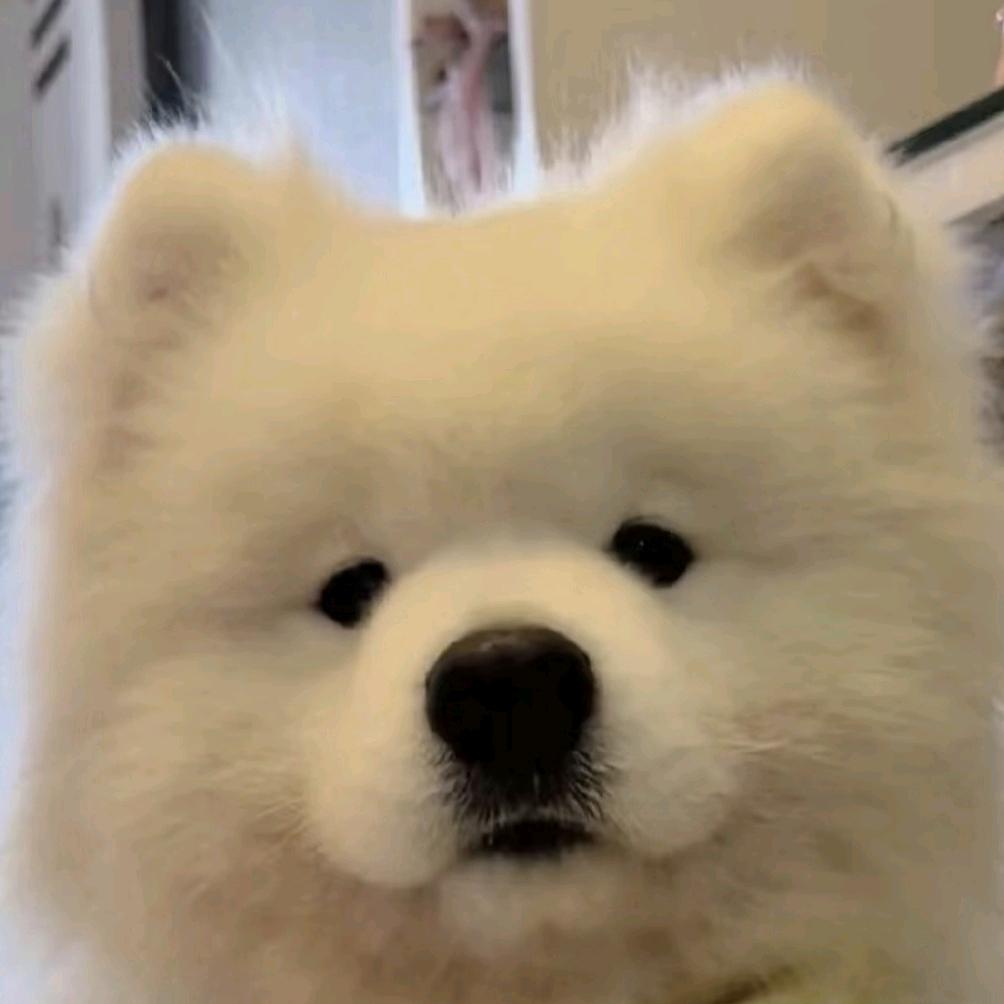 小船小舟头像