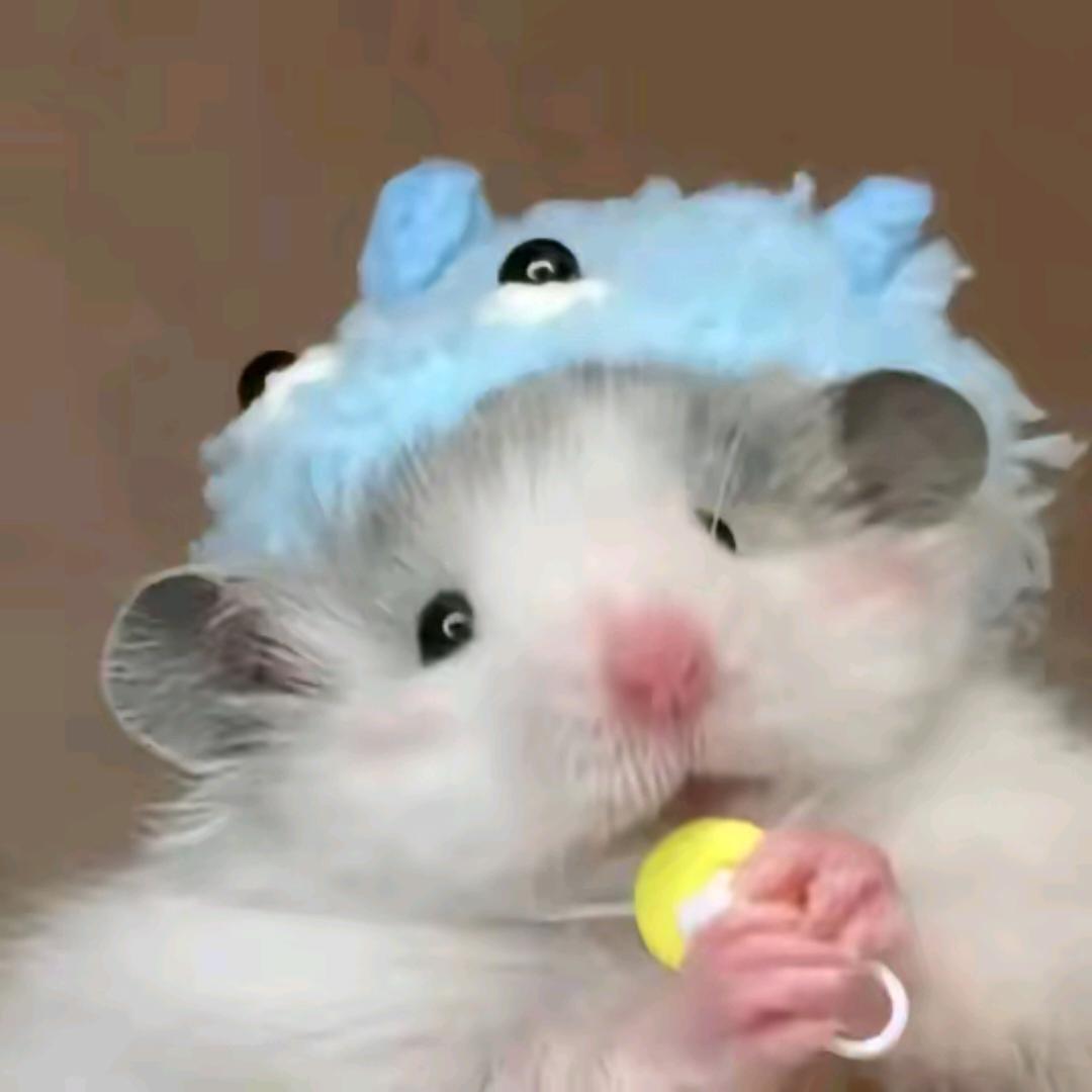 阿梦