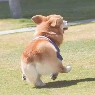 李旅行和李郡辩