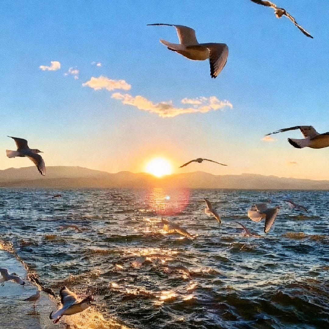 🌈西瓜太郎的夏天🌈