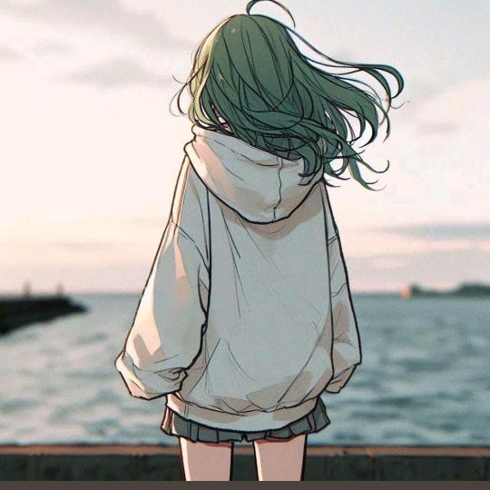 芳芳优选c