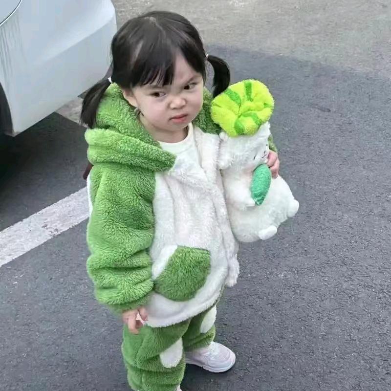 小镇康德