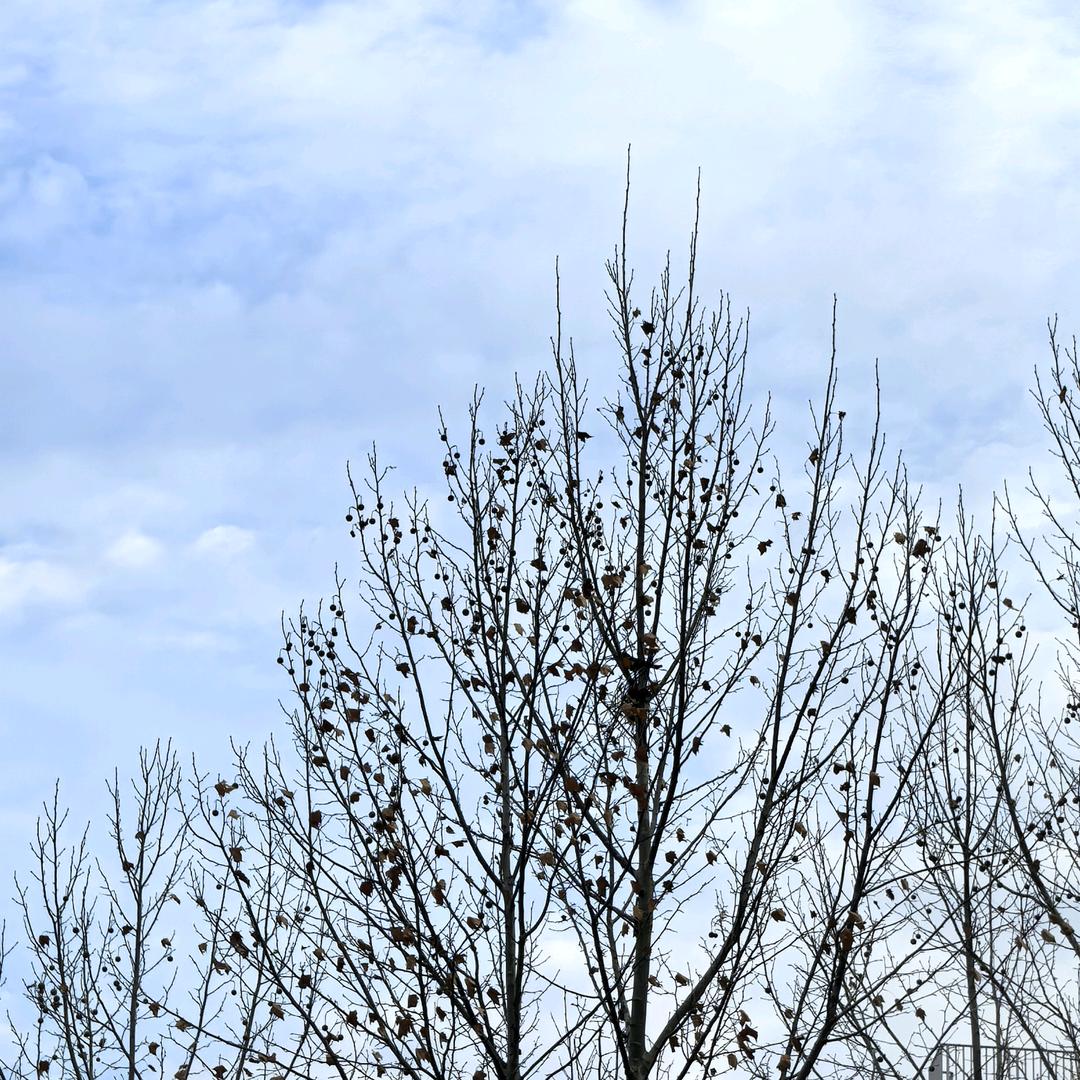 中学理科王老师