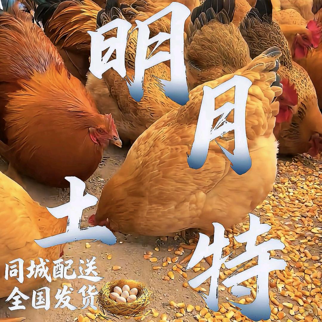 明月土特新鲜农产品