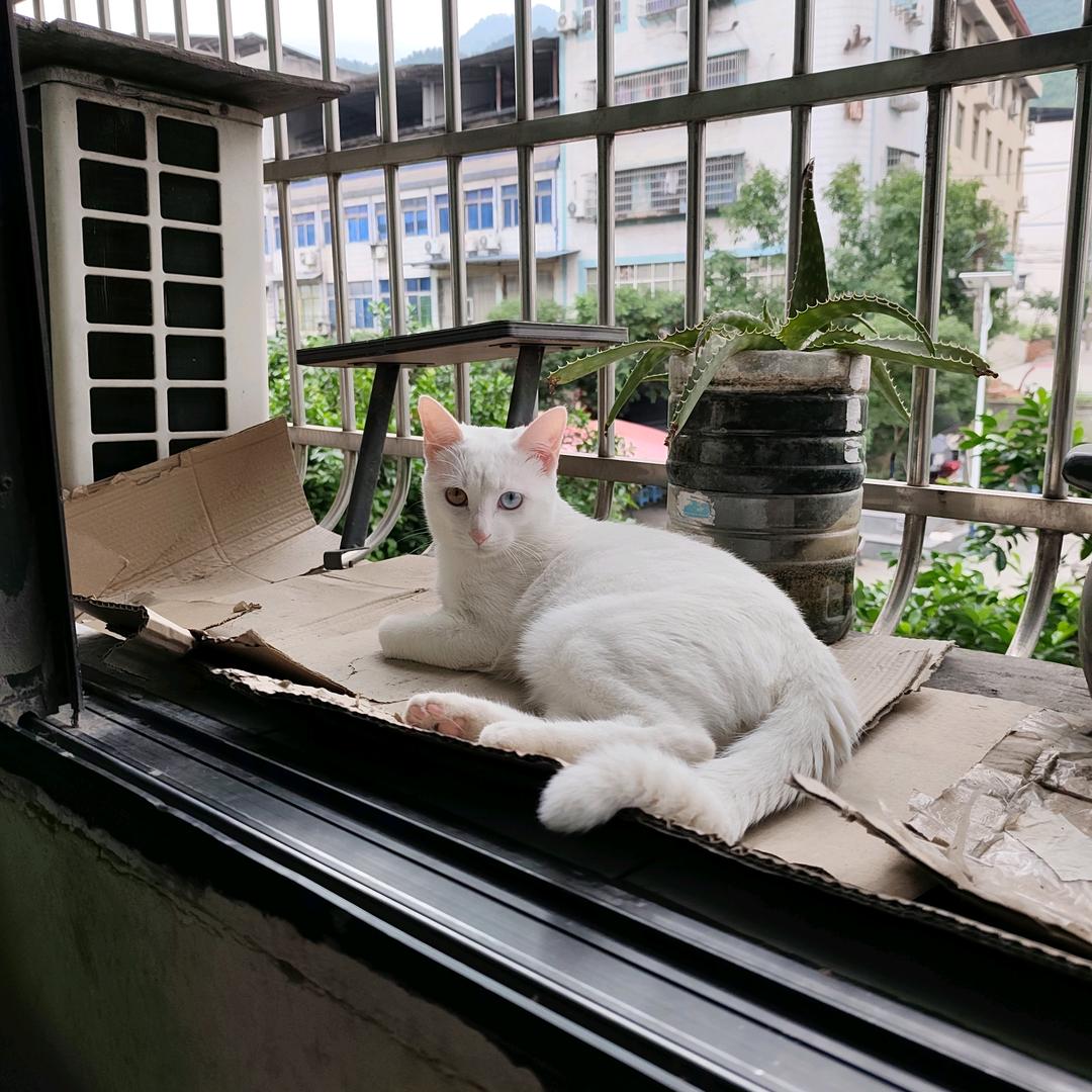 卿钰涵