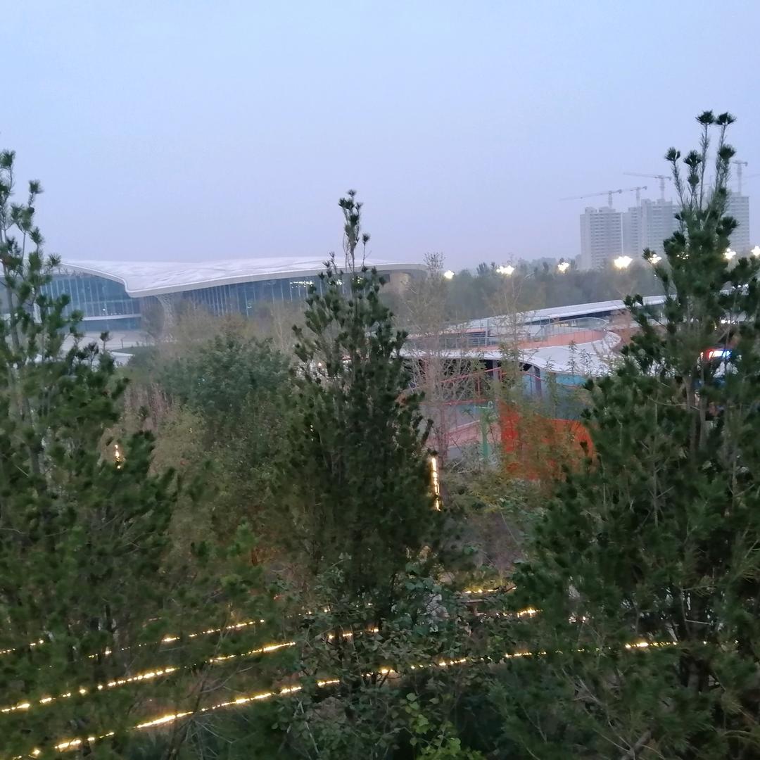 徐姐小号每天上午8：20直播