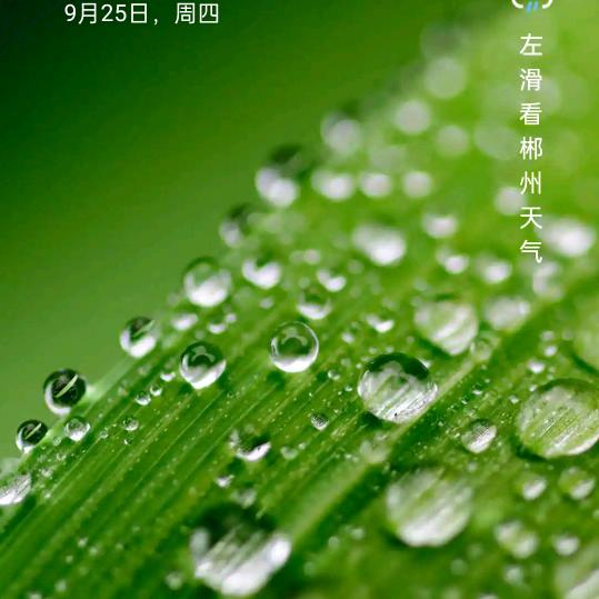静晗杰