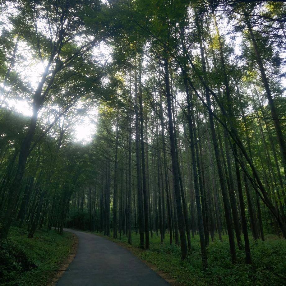 设计师刘海南