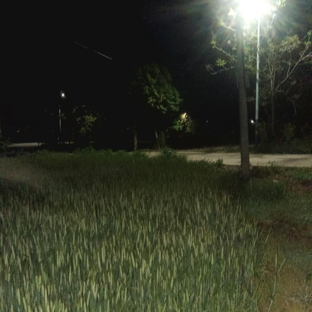 壮志难酬