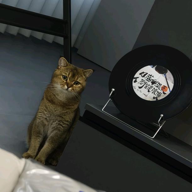 小刘很哇塞〰️