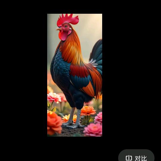 @龍行天下@