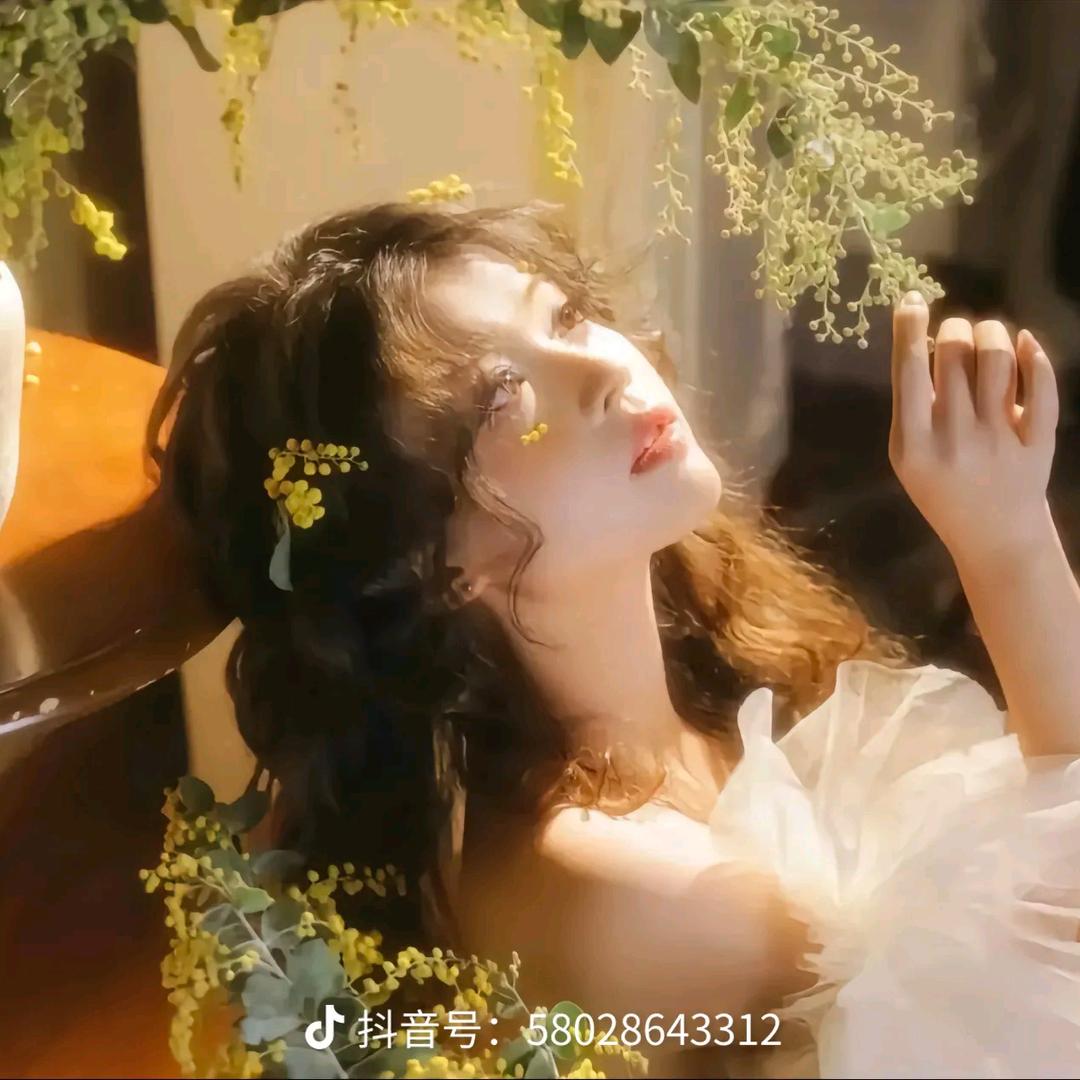 流星.༊
