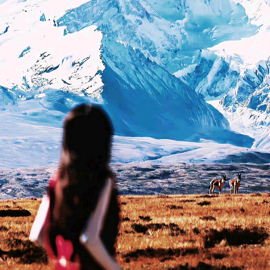 金顶鲜活鱼锅·羊排虾·牦牛火锅专用号