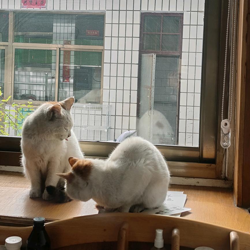 暖途人