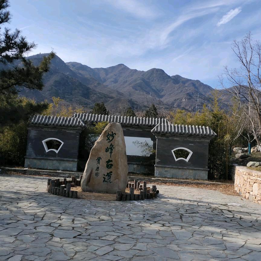 小梦瑶头像