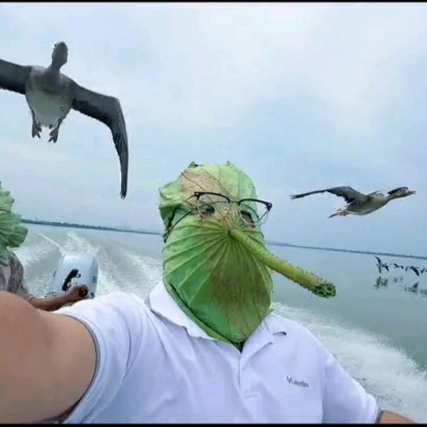 不是山谷,
