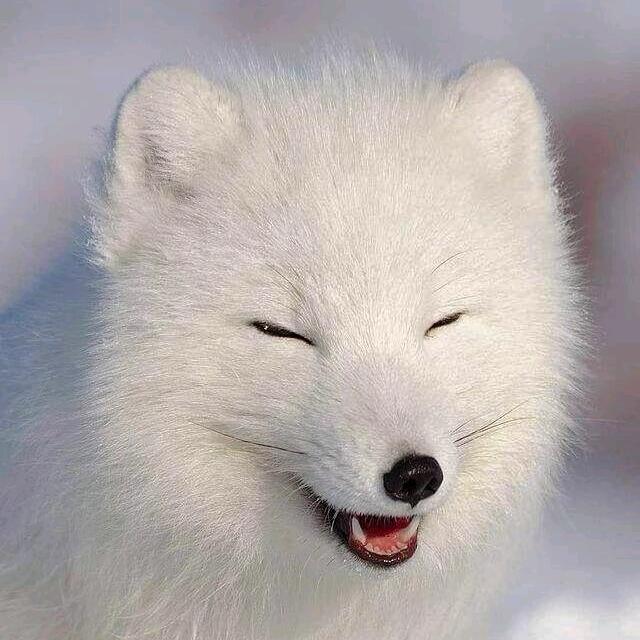 დ᭄💞⃟浅笑不ꦾ语ꦿ⁵²⁰