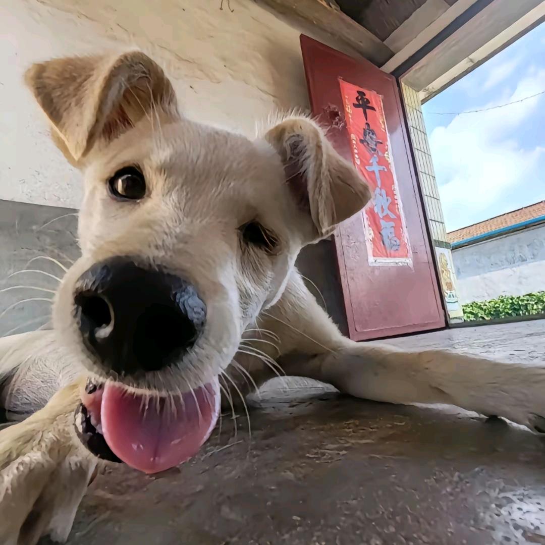 名字都被用完了