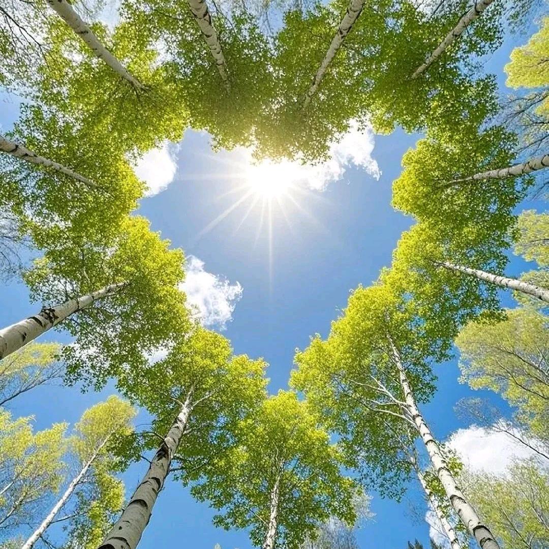 心向阳光~余生随心