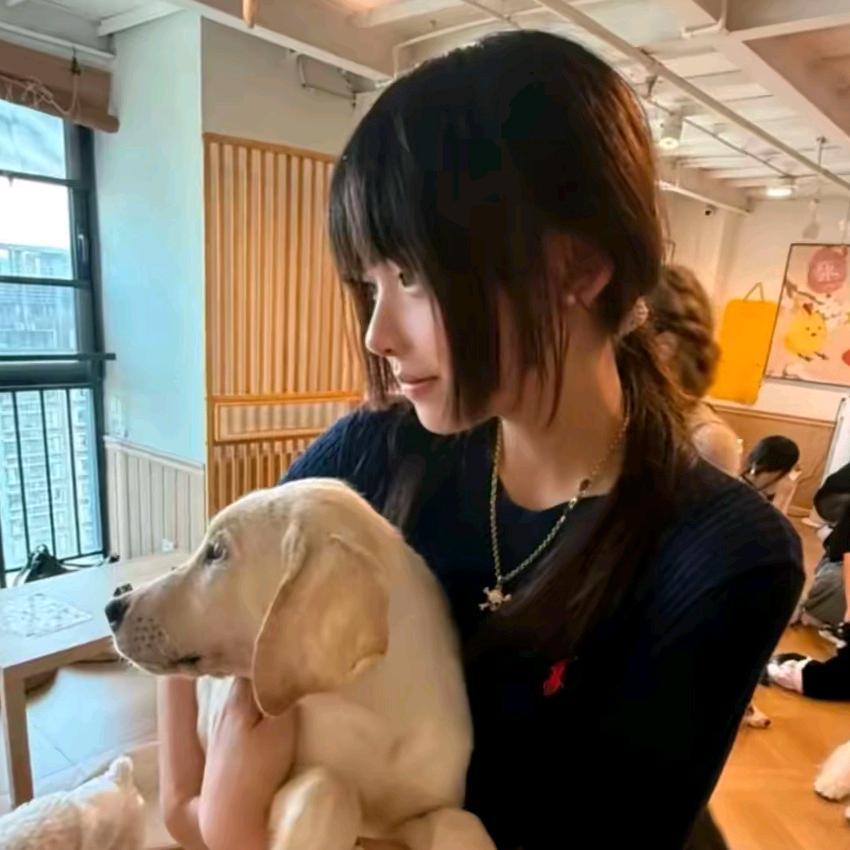 芋圆啵啵