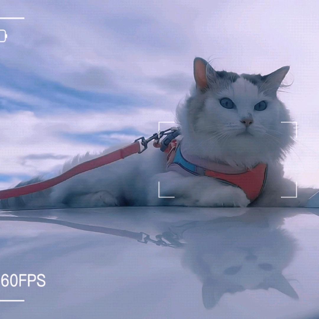 我和妞妞的新疆之旅