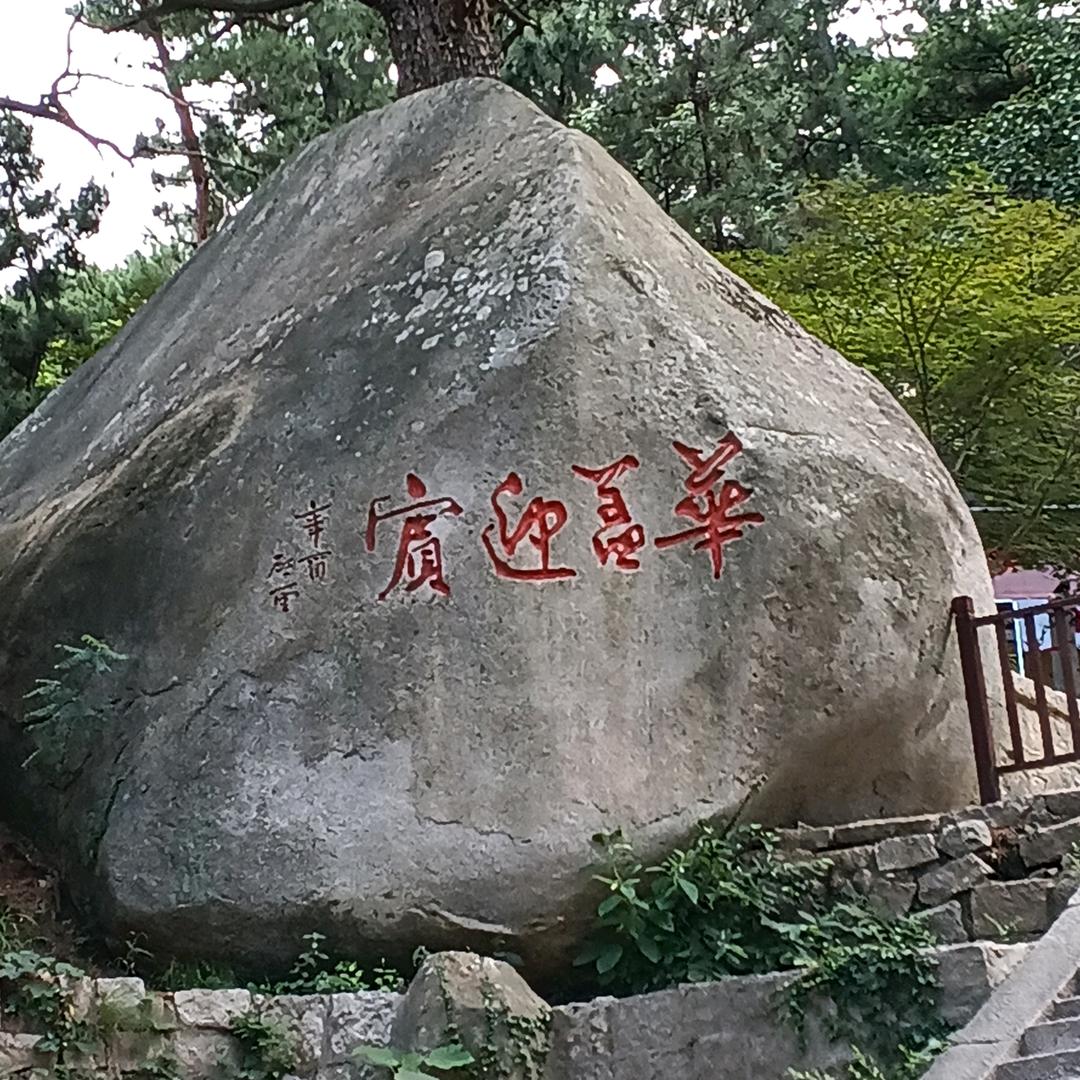 转角y到小老六