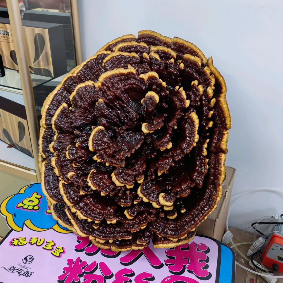 诺伊美发护发空间