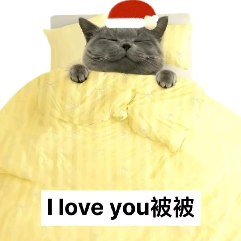 想和被子结婚