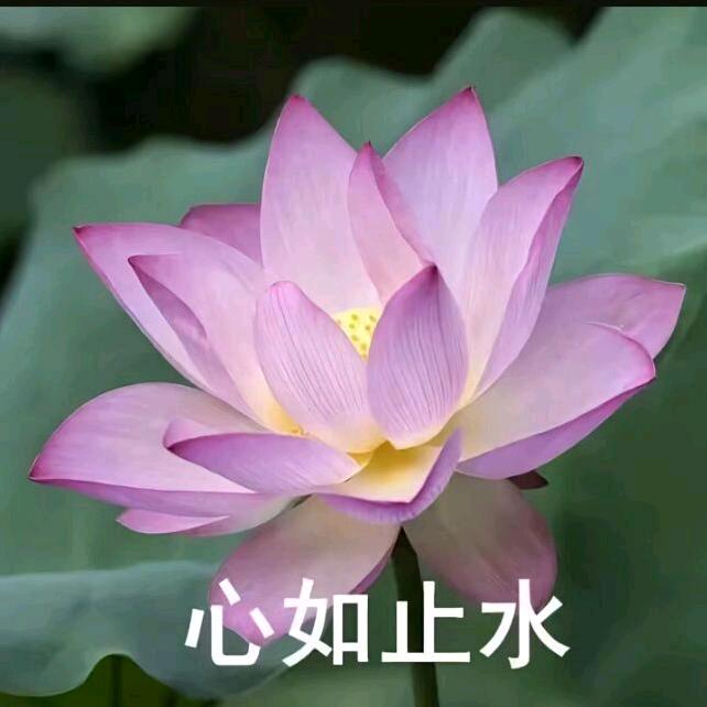 落玉安