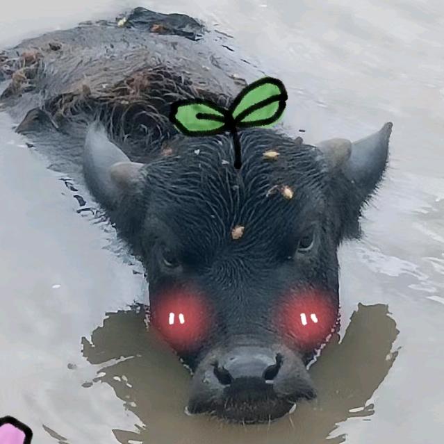 爱吃皮蛋瘦肉粥的皮蛋
